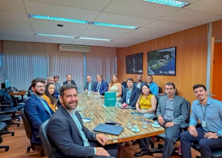 Caravina participa de reunião no Ministério de Minas e Energia para tratar de investimentos no Vale da Celulose