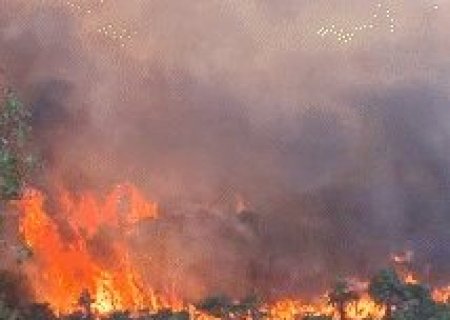 Inc&ecirc;ndio &agrave;s margens do Rio Paraguai amea&ccedil;a &aacute;rea casas em Corumb&aacute;