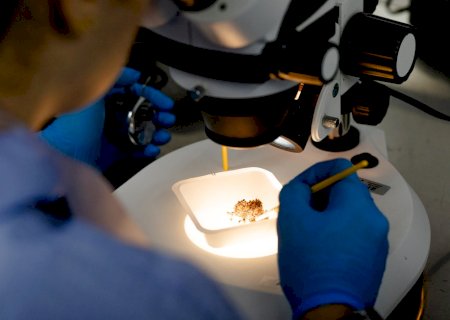 Brasil inaugura maior fábrica de mosquitos da dengue ‘do bem’; veja fotos