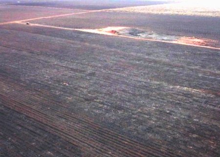Multa de R$ 4,8 milhões: incêndio em canavial devasta áreas protegidas e leva MPMS a abrir investigação em Angélica
