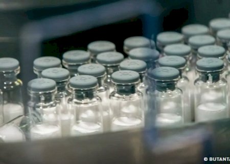 Vacina contra dengue do Butantan pode ser aprovada pela Anvisa já na próxima semana