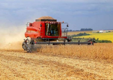 Safra bate recorde no pa&iacute;s e MS consolida for&ccedil;a com 8,2% da produ&ccedil;&atilde;o