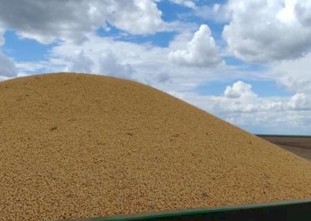 MS bate recorde de exporta&ccedil;&otilde;es e acumula super&aacute;vit de US$ 3,596 bilh&otilde;es