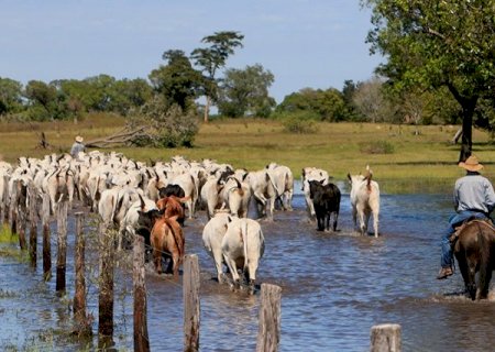 Justi&ccedil;a reconhece trabalho de pe&atilde;o de comitiva e garante aposentadoria rural