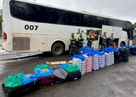 Ônibus de MS para SP é flagrado com 746 quilos de folhas de coca
