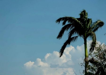 Sexta-feira terá calor intenso e chance de tempestades em MS>