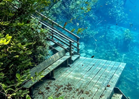 Água cristalina cobre decks e trilhas do Fervedouro Rio Azul, em Bodoquena>